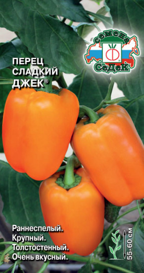 Перец сладкий «Джек»