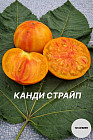 Колекционные семена томата «Канди страйп»
