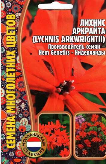 Семена лихниса «Аркрайта»