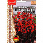 Семена лобелии «Queen Victoria Scarlet»