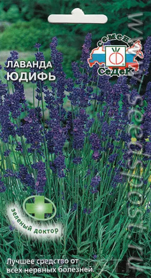 Семена пряности «Лаванда Юдифь»