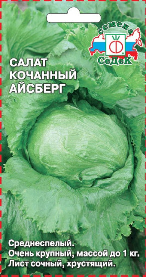 Семена салата айсберг