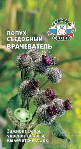 Семена лопуха съедобного «Врачеватель»