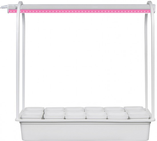 Набор для выращивания растений «Минисад»