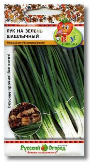 Семена лука на зелень «Шашлычный»