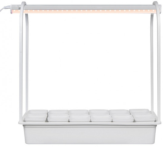 Набор для выращивания растений «Минисад»