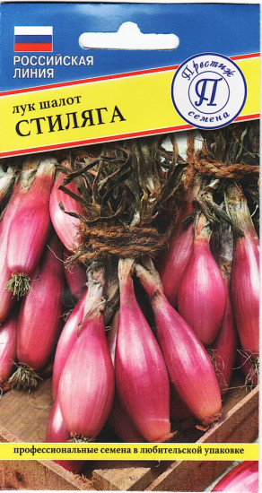 Семена лука шалот «Стиляга»