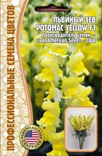 Семена львиного зева «Potomac Yellow F1»