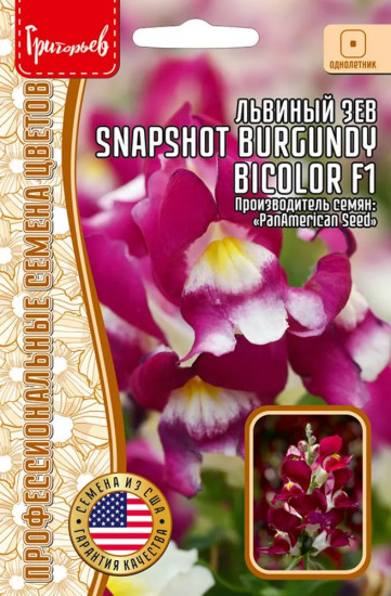 Семена львиного зева «Snapshot Burgundy Bicolor»