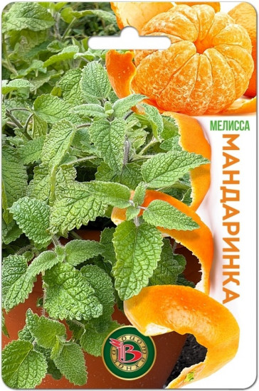 Семена мелиссы «Мандаринка»
