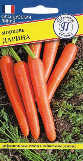 Семена моркови «Дарина»