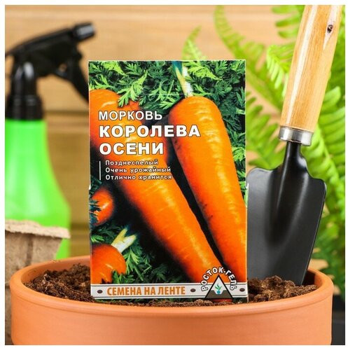 Семена моркови «Королева осени»