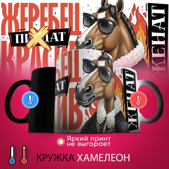 Кружка-хамелеон с принтом «Жеребец красив, женат»