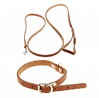 Комплект кожаный (ошейник 1,2 см и поводок 0,8 см), цвета в ассортименте