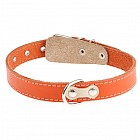 Ошейник однослойный (ширина 2,5 см) с выносным кольцом, цвета в ассортименте