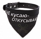 Ошейник с косынкой «Не кусаю - откусываю» (2,5 х 52 см)