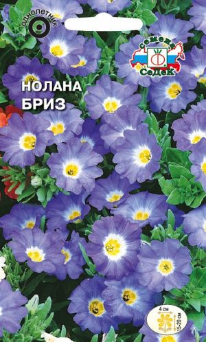 Семена цветов нолана «Бриз»