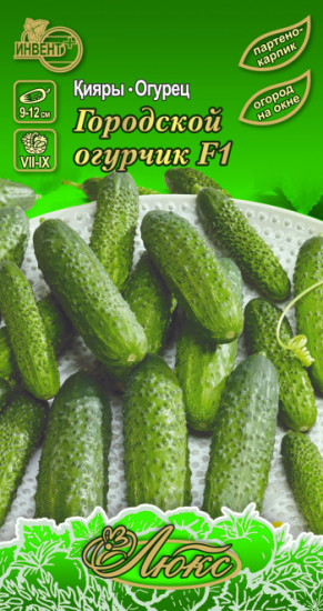 Семена огурца «Городской огурчик F1»