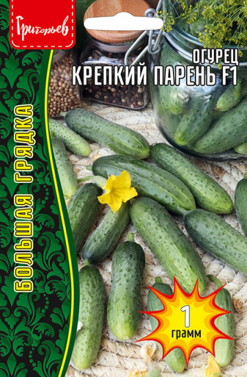 Семена огурца «Крепкий Парень F1»
