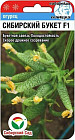 Семена огурца «Сибирский букет F1»