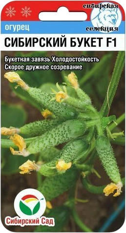 Семена огурца «Сибирский букет F1»