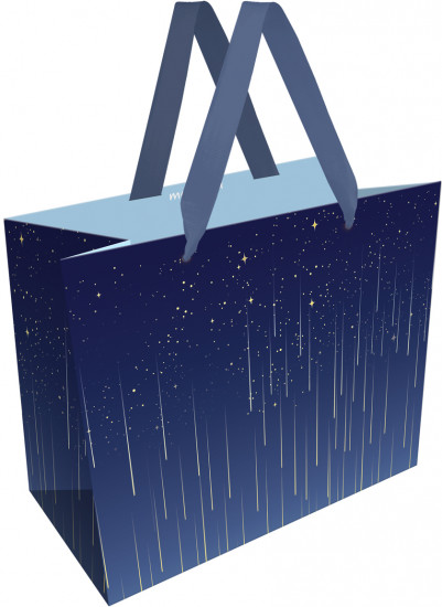 Пакет подарочный «Star rain»