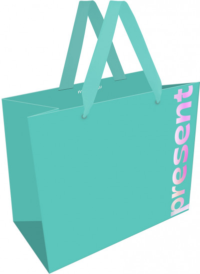 Пакет подарочный «Bright present»