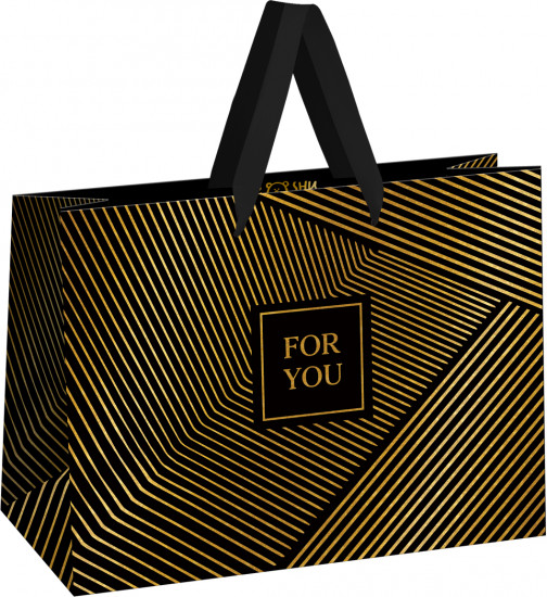 Пакет подарочный «Strict lines»