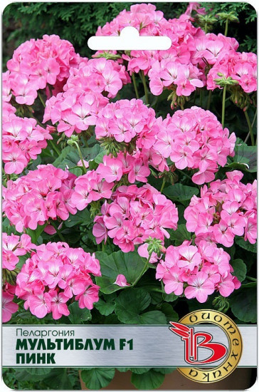 Семена пеларгонии «Мультиблум F1 Пинк»