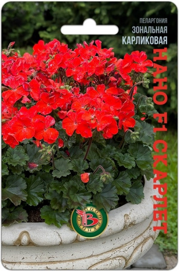 Семена пеларгонии «Нано F1 Скарлет»