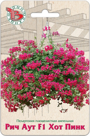 Семена пеларгонии ампельной «Рич Аут F1 Хот Пинк»