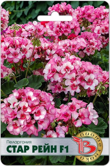 Семена пеларгонии «Стар Рейн F1»