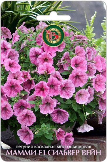 Семена петунии каскадной «Мамми F1 Сильвер Вейн»