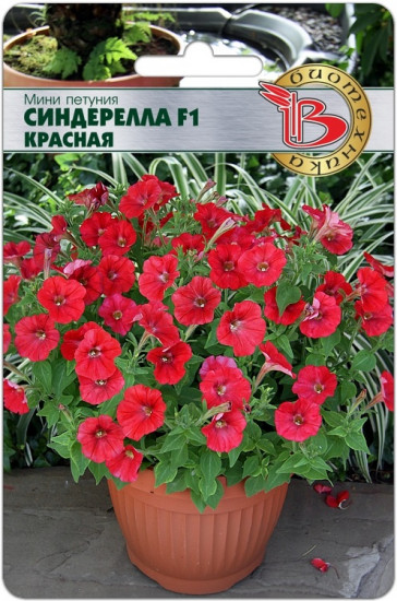 Семена петунии-мини «Синдерелла F1 Красная»