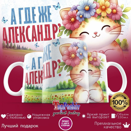 Кружка с принтом «А где же АЛЕКСАНДР»