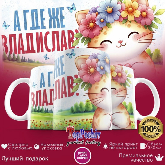 Кружка с принтом «А где же ВЛАДИСЛАВ»
