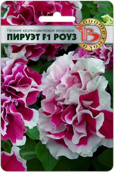 Семена петунии махровой «Пируэт F1 Роуз»