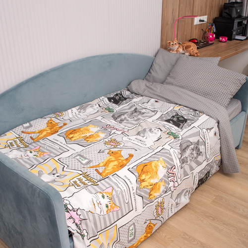 Комплект постельного белья «Коты мемы»