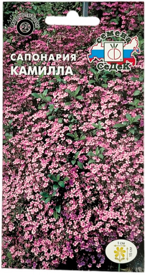 Семена сапонарии «Камилла»