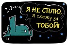 Коврик «Я не сплю, я слежу за тобой» 60 х 40 х 1 см