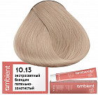 10.13 Очень светлый блондин пепельно-золотистый