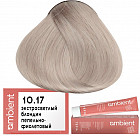 10.17 Очень светлый блондин пепельно-фиолетовый
