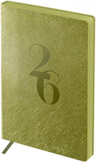 Ежедневник датированный на 2026 год