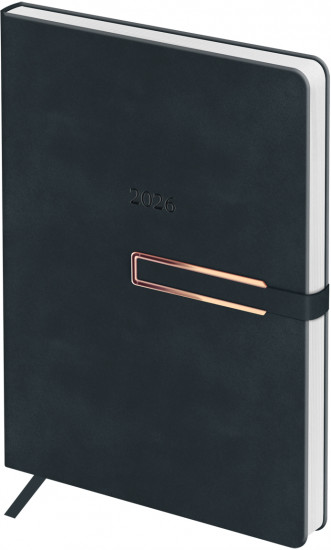 Ежедневник датированный на 2026 год «Charcoal»