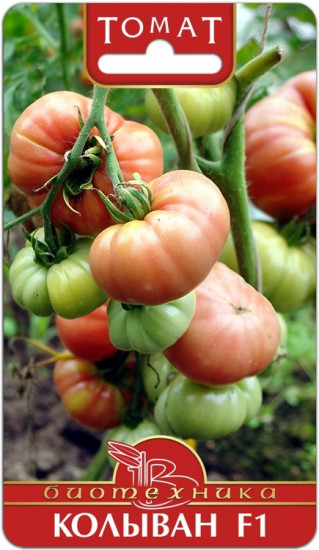 Семена томата «Колыван F1»