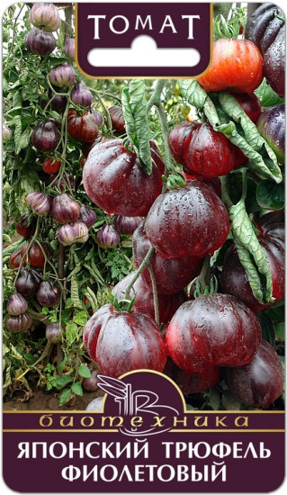 Семена томата «Японский трюфель Фиолетовый»