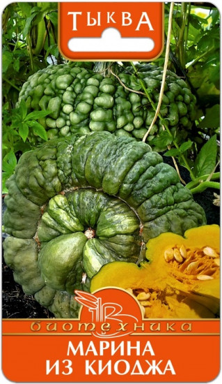 Семена тыквы «Марина из Киоджа»