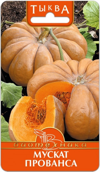 Семена тыквы «Мускат прованса»