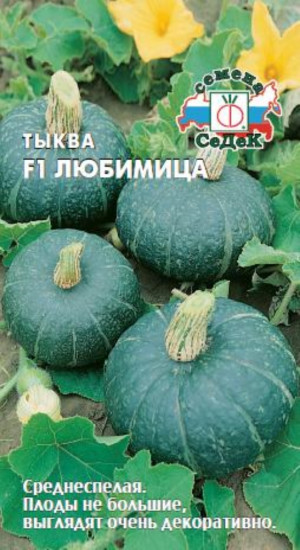Семена тыквы «Любимица F1»