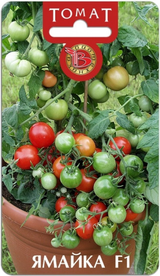 Семена томата декоративного «Ямайка F1»